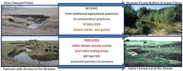 Water Free Full Text Riparian Land Use Impacts On Stream Bank And Gully Erosion In Agricultural Watersheds What We Have Learned Html