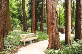 Ausflugsziele Nrw Mammutbaume Auf Der Sequoiafarm Kaldenkirchen Travel On Toast In 2020 Ausflug Nrw Mammutbaum Ausflug