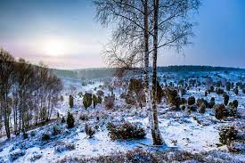 Die errichtung von 26 wohngebäuden in lüneburg im letzten jahr ist ein wichtiger beleg für den anwachsenden. Winter In Der Luneburger Heide
