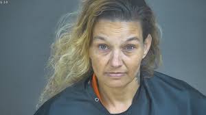 Dozens arrested in 'Not in Our Backyard' operation