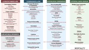 Get directions, reviews and information for campbell & gwinn in yakima, wa. Red Blood Cell Storage Lesion Causes And Potential Clinical Consequences Abstract Europe Pmc