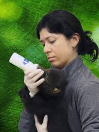 Secrets of the Zoo: Tampa: Season 3, Episode 8