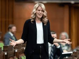 Cite the portions of the bill you disagree with. Liberals Bloc Move To Limit Debate Push Controversial Bill C 10 Through National Post
