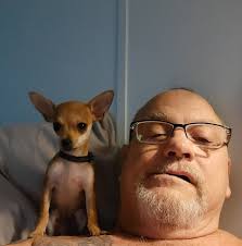 WJXT4 The Local Station