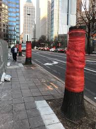 This list will help you pick the right pro tree service in atlanta. We Agree It Shouldn T Be This Easy To Cut Down Healthy Trees In Atlanta Trees Atlanta