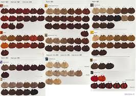 L Oreal Majirel Majilift Majiblond Professional Hair Color Rare U Choose Health Beauty Ha Hair Color Chart Professional Hair Color Loreal Hair Color