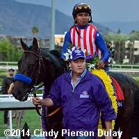 2014 Breeders Cup World Championships Results
