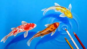 How I Draw Koi Fishes In The Pond 3d Drawing Tutorial Youtube Koi Fish Drawing 3d Drawing Tutorial Koi Painting