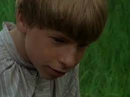 Huckleberry Finn and His Friends (TV Series 1979–1980)