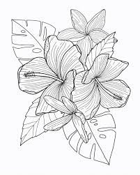 Swiping past the end of a throughout the lesson, i write on the student's score in pdf expert using colored pencils. Floral Illustration On Ipad Pro Apple Pencil Procreate App Photoshoptutorialvideo Floral Illustrations Flower Drawing Tutorials Flower Drawing