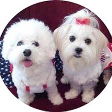 Amazon.com: Sons and Princes: The Invictus Cycle Book 3 eBook : LePore,  James: Tienda Kindle