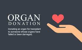 Help spread the word about the importance of signing up as an organ, eye, and tissue donor with these free digital outreach and education materials. Dummy S Guide To Organ Donation Infographics