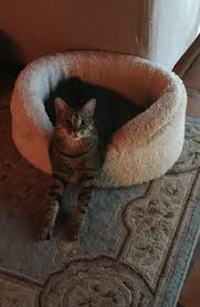 Photo posted by Tracy McCaffrey (@dr_tracymccaffrey)