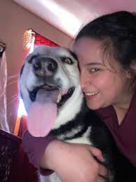 Miss Shadow enjoying the snow at least one of us enjoy it lol