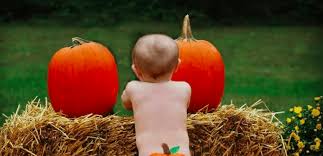 Acrylic paint 6/12colors art supplies non fading,non toxic paints for artist. Baby Pumpkin Butts Are Cute Halloween Trend Simplemost