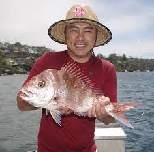 Fishing Middle Harbour Fishabout Fishing Charters Sydney Harbour With Craig Mcgill