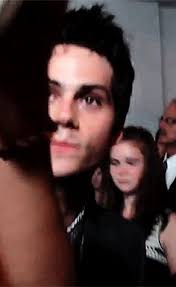 46 Dyl wallpaper ideas to save today