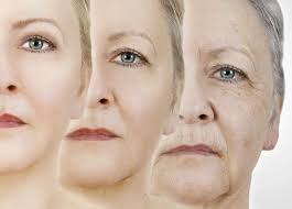 LOS ROLES SOCIALES Y NUESTRO PAPEL EN LA SOCIEDAD