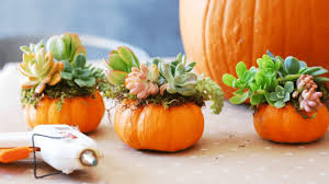 Einhorn kurbis basteln das charmante fabelwesen als deko. Halloween Deko Basteln Mit Kurbissen 3 Geniale Ideen Mencke Gartencenter