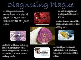 Maybe you would like to learn more about one of these? Yersinia Pestis Bubonic Plague By Andrea Robertson Septicemic Plague Ppt Video Online Download