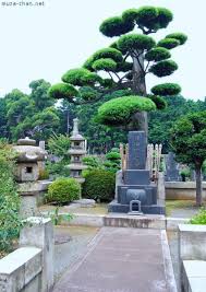 Shunbun No Hi 春分の日 The Vernal Equinox Day Is A National Holiday In Japan Since 1948 Because It S An Event Japanese Garden Vernal Equinox Day Garden Trees