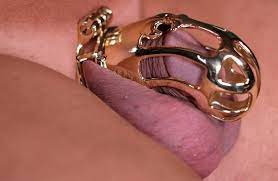 Please Mistress Male Chastity Device Stainless Steel