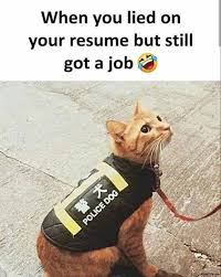 We did not find results for: When You Lied On Your Resume But Still Got A Job Police Dog Meme Memezila Com