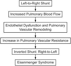 eisenmenger syndrome not always inoperable respiratory care