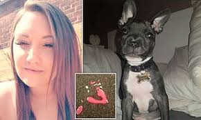 Great savings & free delivery / collection on many items. Singleton 29 Offers Her T T French Bulldog Puppy To Good Home After He Eats Her 57 Sex Toy Daily Mail Online