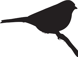 Chipping Sparrow Clay Birds In Flight Clipart Full Size Clipart 1332833 Pinclipart 1,712 free images of bird silhouette. chipping sparrow clay birds in flight