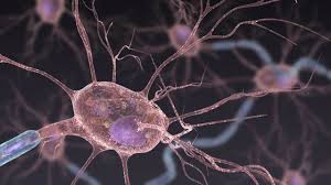 Unfortunately, a cure has not yet. Crispr Proves Promising For Treating Als In Mice The Scientist Magazine