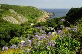 Questa foto è una foto di spiaggia, st ives, vista sul mare. Viaggio Tra Giardini E Paesaggi Della Cornovaglia Sguardo Nel Verde