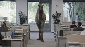 This pack contains 150 fully mastered files ready to use in your video. Geico Tv Commercial Camel On Hump Day Ispot Tv