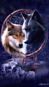 Maybe you would like to learn more about one of these? Pin By Rosy Hidalgo On Andromeda Wolf Spirit Animal Wolf Spirit Native American Wolf