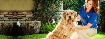 We've compiled 7,000+ free reviews to find you the best invisible fence! Invisible Fence Brand By Clark Associates Reviews Facebook
