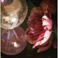 Photography: Reflections event image