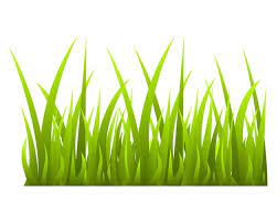 Grass Svg Clipart Grass Green Grass Png Printable Grass Etsy In 2022 Grass Vector Grass Clipart Grass Drawing
