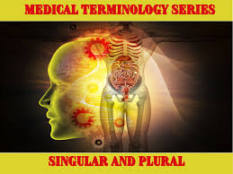 Medical Terminology List Of Singular And Plural Rules Nursecepts