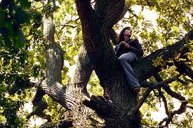 Incomplete tales of several journeys (2000). Bild Von Au Voleur A Real Life Bild 9 Auf 17 Filmstarts De