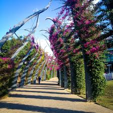Modern Trellis At South Bank Brisbane Australia Landscape Design Modern Trellis Landscape Architecture