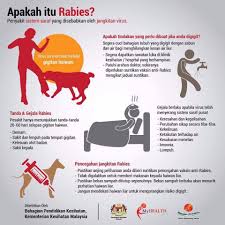 Rabies Two Suspected Human Cases Reported In Sarawak Outbreak News Today
