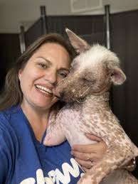 petsofchewy #lifeatchewy #runwiththepack #companyculture