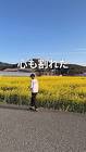 不登校小学生の日常
