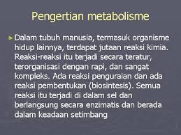 3 naskhah tulisan tangan dipanggil sebagai. Metabolisme Pengertian Metabolisme Dalam Tubuh Manusia Termasuk Organisme