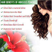 See more ideas about hibiscus, hibiscus flowers, hibiscus plant. Buy Hibiscus Powder For Face And Hair Care 100 Natural Best Quality Pack Of 2 100x2 200g Online At Low Prices In India Amazon In