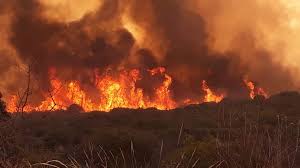 Los investigadores detectaron desde el primer robo el carácter violento y el alto nivel de especialización. Video Impactactes Incendios En Cordoba El Fuego Esta Descontrolado Noticias Ambientales