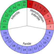 24 Explicit How To Chart Your Period