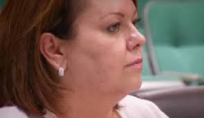 The Bad Guardian: a review