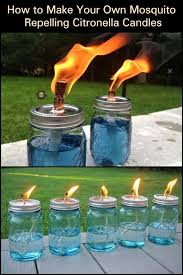 Maybe you would like to learn more about one of these? How To Make Your Own Mosquito Repelling Citronella Candles Citronella Candles Diy Backyard Citronella