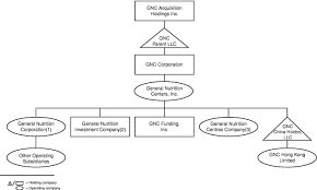 Maybe you would like to learn more about one of these? 424b1 1 A2203230z424b1 Htm 424b1 Use These Links To Rapidly Review The Document Table Of Contents Index To Consolidated Financial Statements Table Of Contents Filed Pursuant To Rule 424 B 1 Registration No 333 169618
